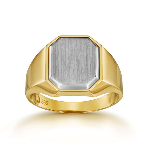 SIEGELRING GEBÜRSTET OKTAGON 585 GOLD - IDENTIM®